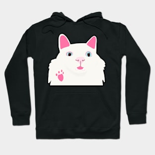 Hi! I am Cat Hoodie